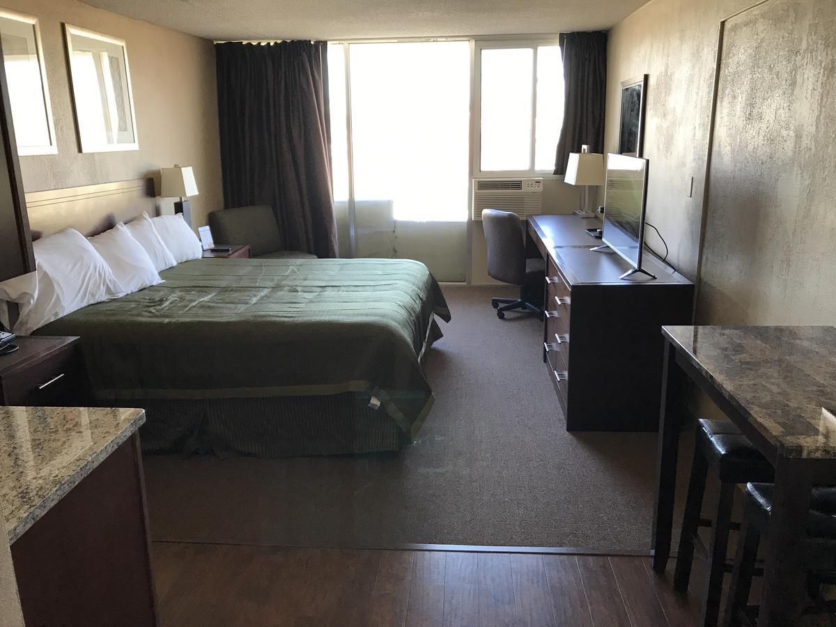 King Room - Disability Access,532908516:JPEG
